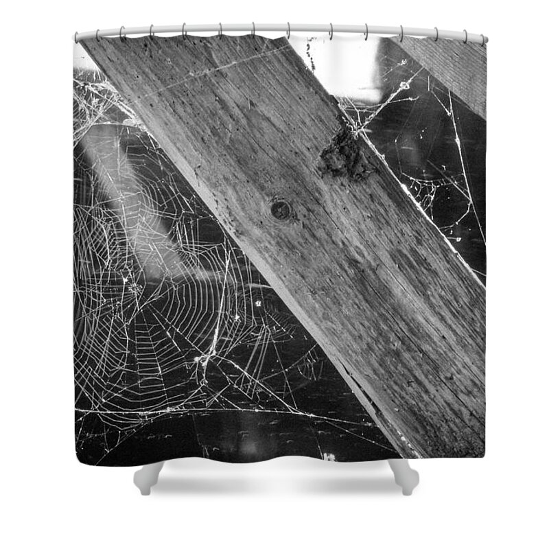 Bill Pevlor Shower Curtain featuring the photograph Tangled Web by Bill Pevlor