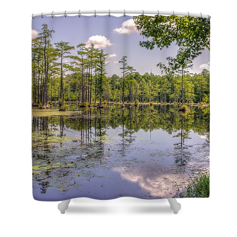 Background Shower Curtain featuring the photograph Taxodium distichum by Traveler's Pics