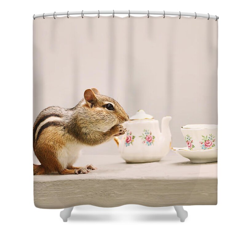 Chipmunks Shower Curtain featuring the photograph Tea Party with Chipmunk by Peggy Collins