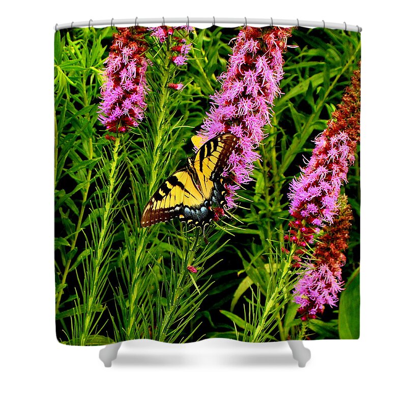 Fine Art Shower Curtain featuring the photograph Technicolor by Rodney Lee Williams