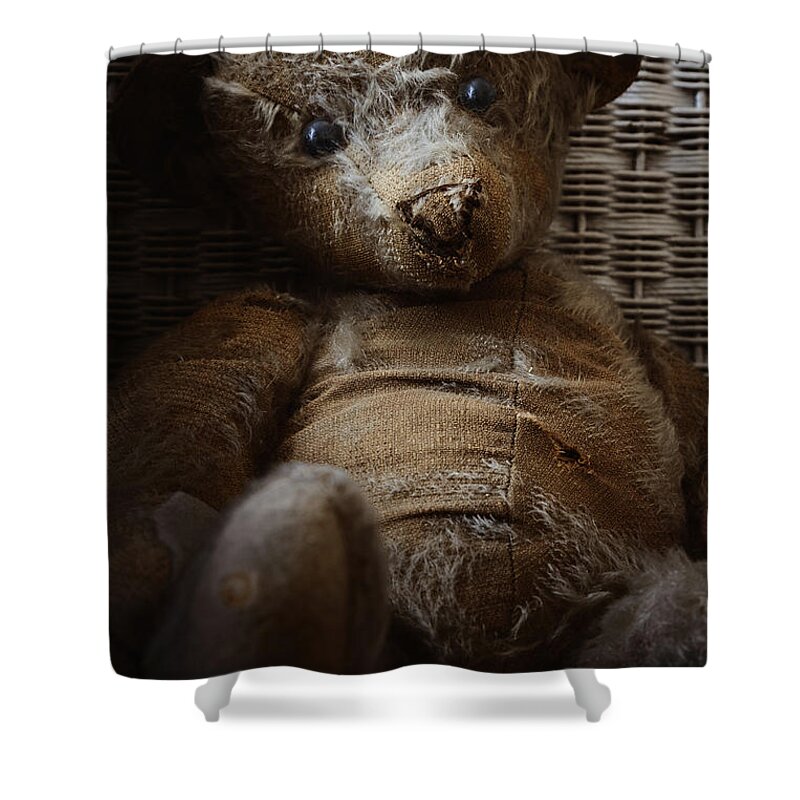 Teddy Bear Shower Curtain featuring the photograph Teddy by Margie Hurwich