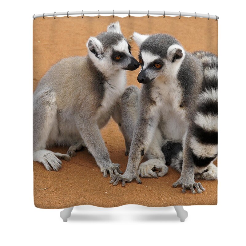 Africa Shower Curtain featuring the photograph Telling Secrets by Michele Burgess