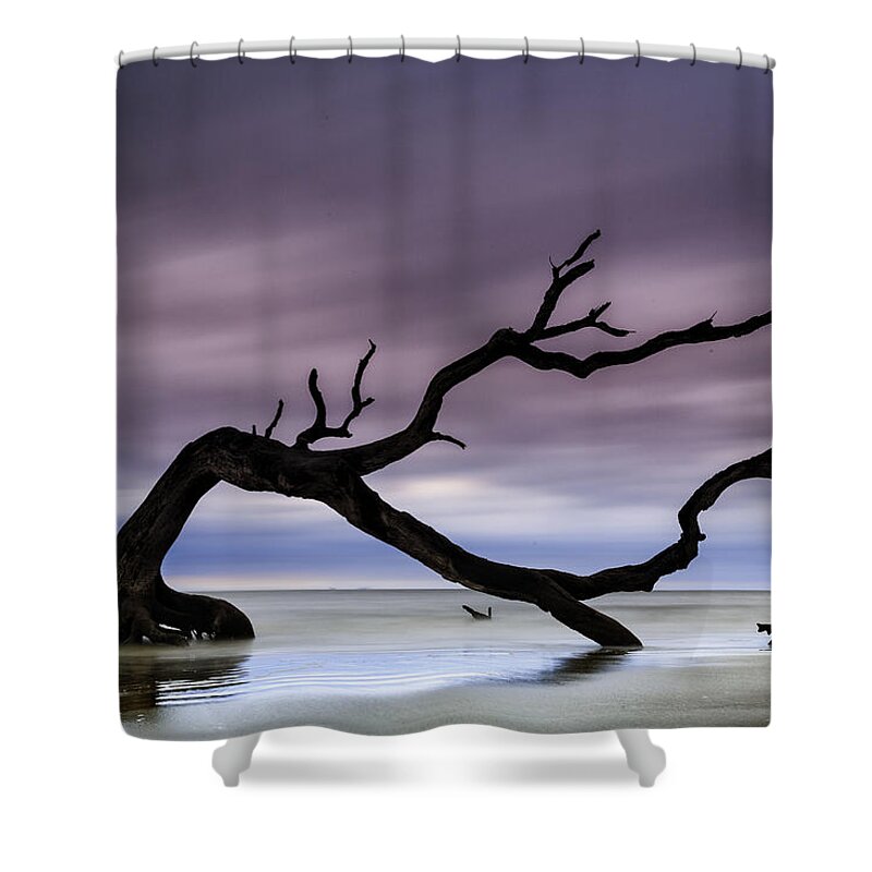 Driftwood Shower Curtain featuring the photograph Tempest Tossed by Fran Gallogly