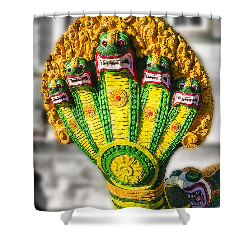Ron Roberts Photography Shower Curtain featuring the photograph Temple guards by Ron Roberts