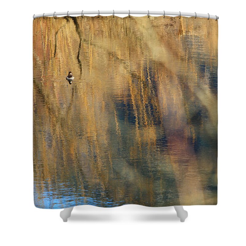 Duck Shower Curtain featuring the photograph Floating in the Abstract 1 by Michelle Twohig