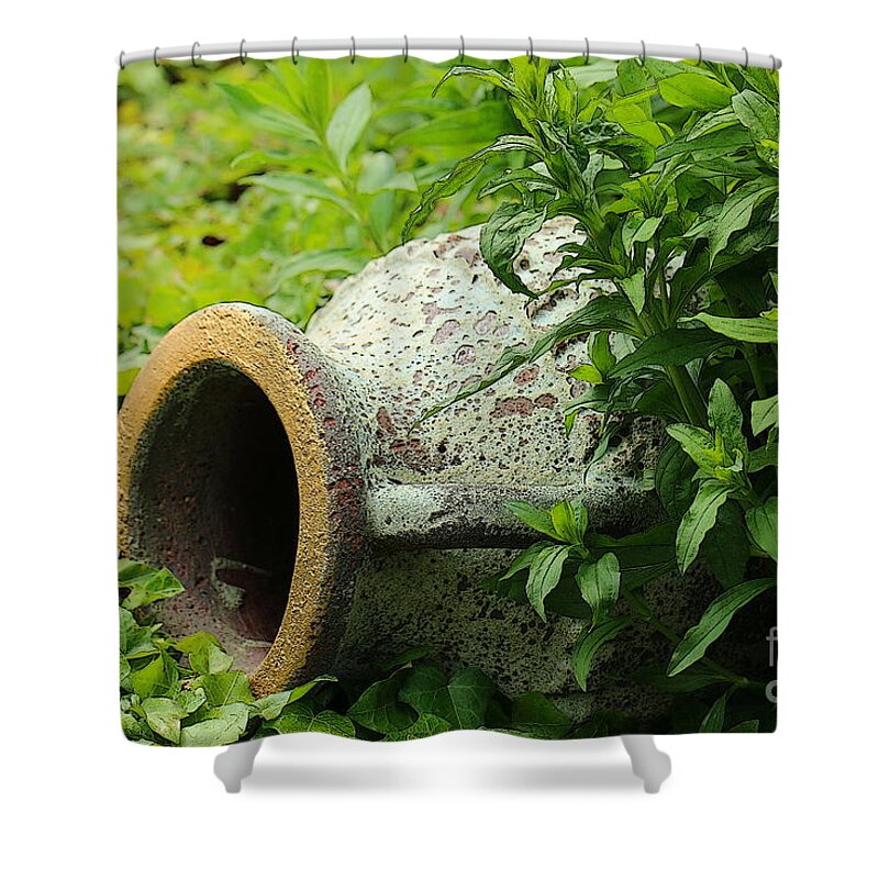 Nature Shower Curtain featuring the photograph Terracotta vase in the green by Amanda Mohler