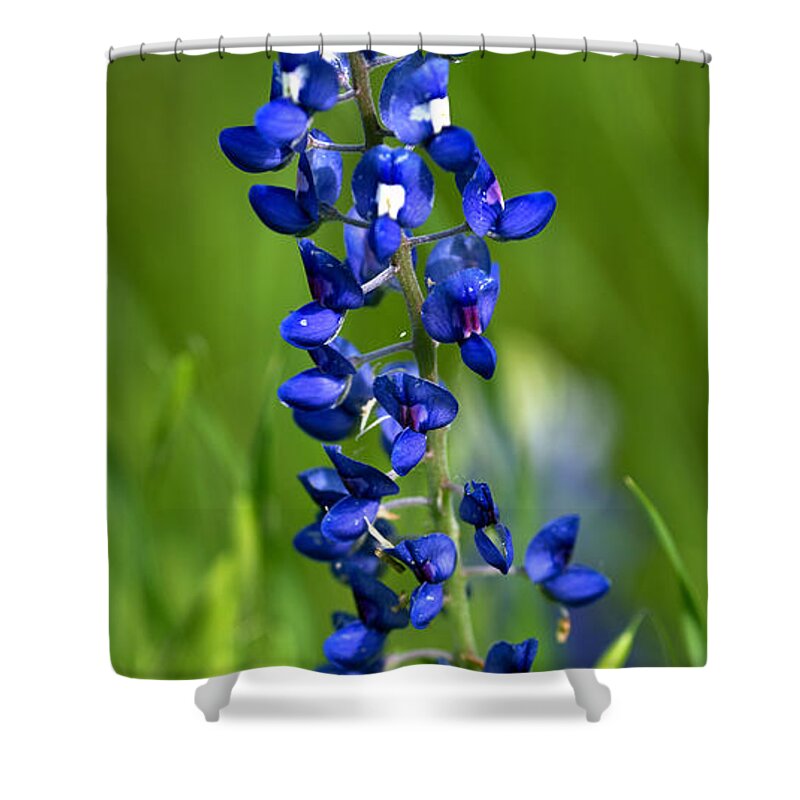 Texas Shower Curtain featuring the photograph Texas Bluebonnet by Gary Langley