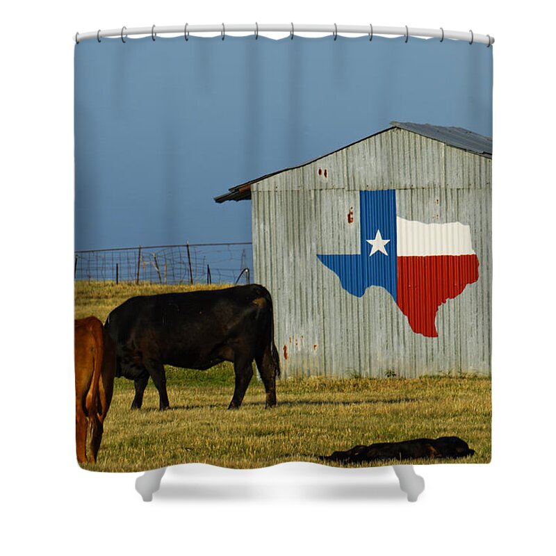 Texas Shower Curtain featuring the photograph Texas Farm with Texas Logo by Jonathan Davison