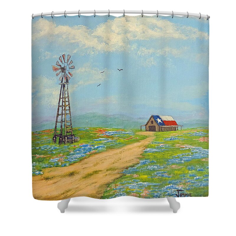 Texas Shower Curtain featuring the painting Texas High Sky by Jimmie Bartlett