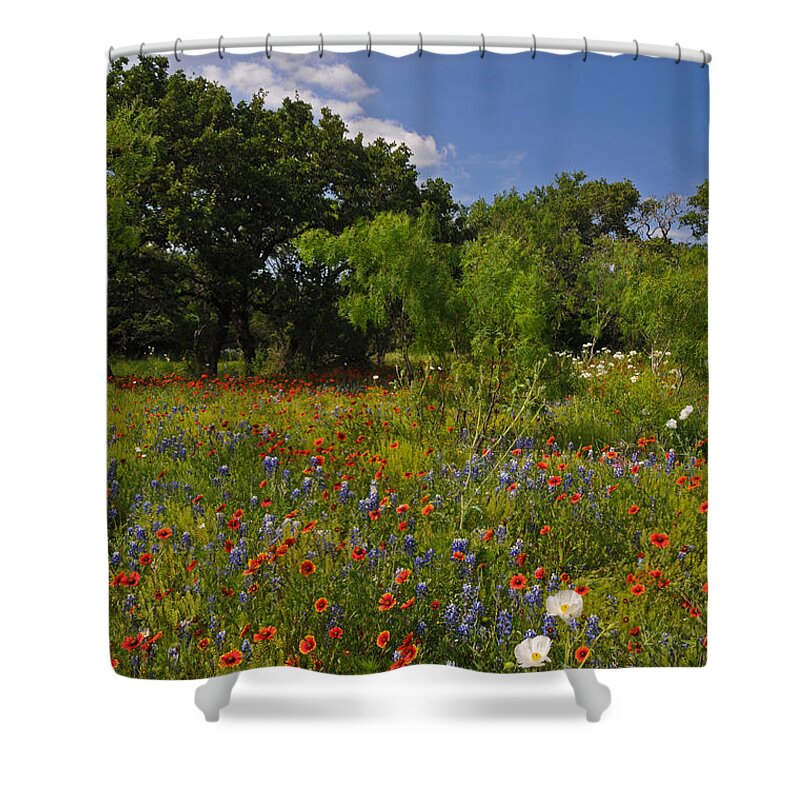 Wildflowers Shower Curtain featuring the photograph Texas Spring Spectacular by Lynn Bauer