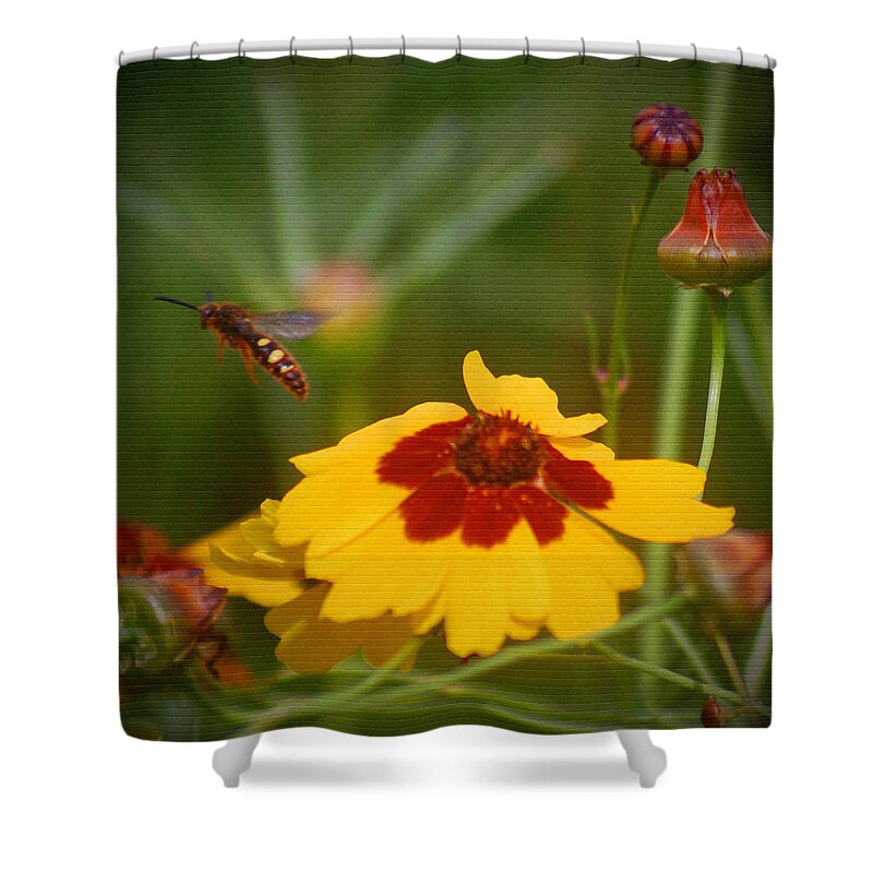 Flower Shower Curtain featuring the photograph Textured Bee by Leticia Latocki