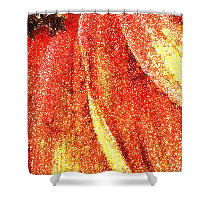 Texture; Red; Yellow; Brown; Fllower; Petals Shower Curtain featuring the photograph Textured Petals by Steve Taylor