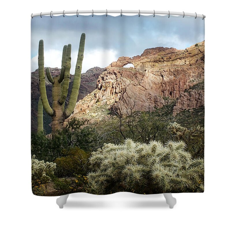 Travel Shower Curtain featuring the photograph The Arch by Lucinda Walter