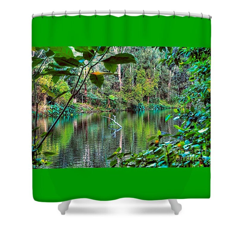 Photography Shower Curtain featuring the photograph The Beautiful Greens of Nature 2 by Kaye Menner