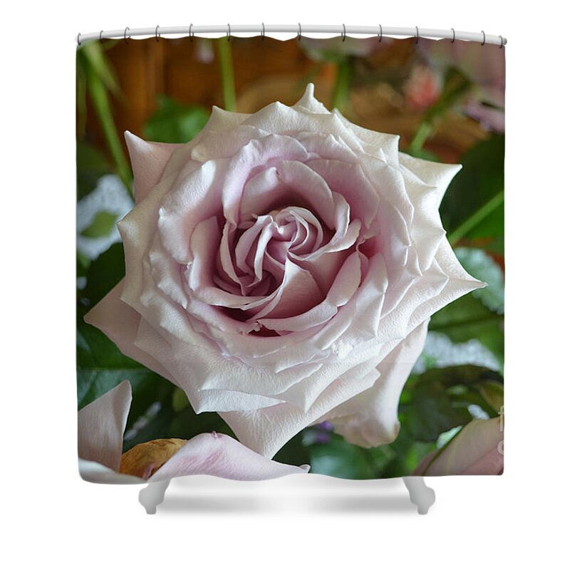 Rose Shower Curtain featuring the photograph The Beauty of a Flower by Jim Fitzpatrick