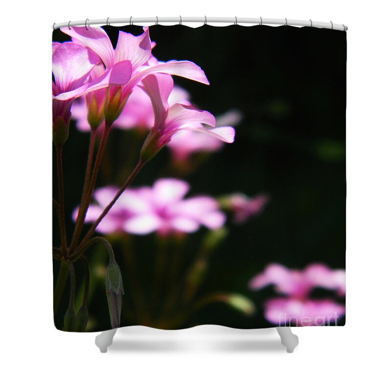 Flower Shower Curtain featuring the photograph The beauty of small things 2 by Andrea Anderegg