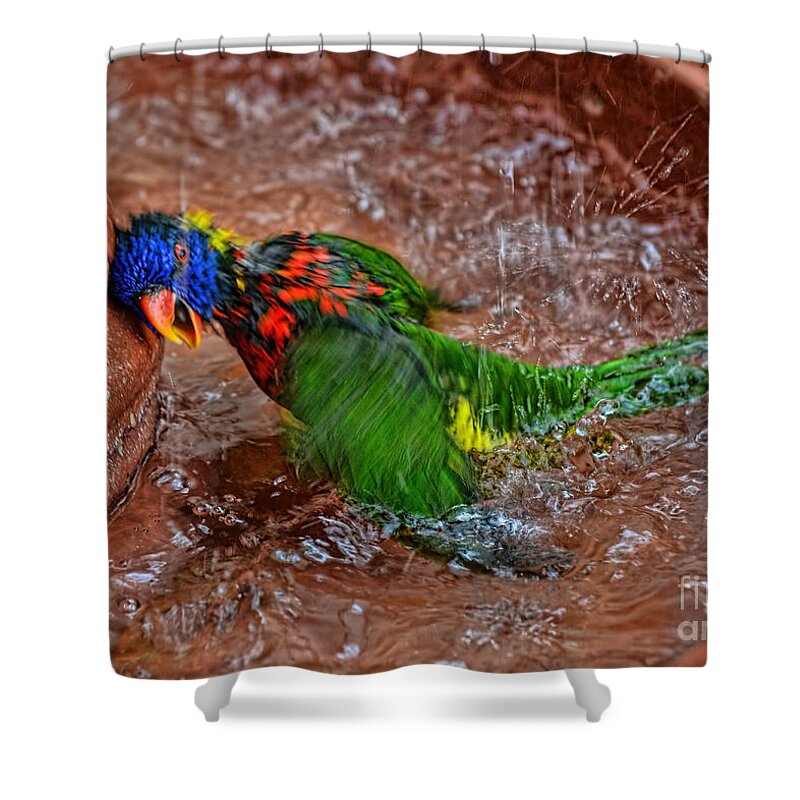 Lorikeet Shower Curtain featuring the photograph The Best Party Ever by Olga Hamilton