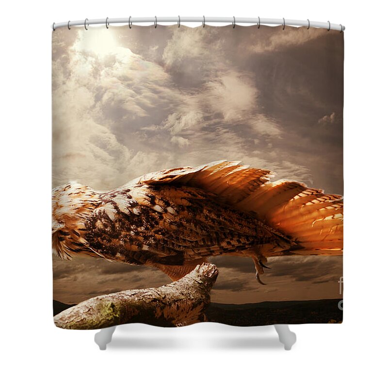 Bird Shower Curtain featuring the photograph The Bird colour by Christine Sponchia