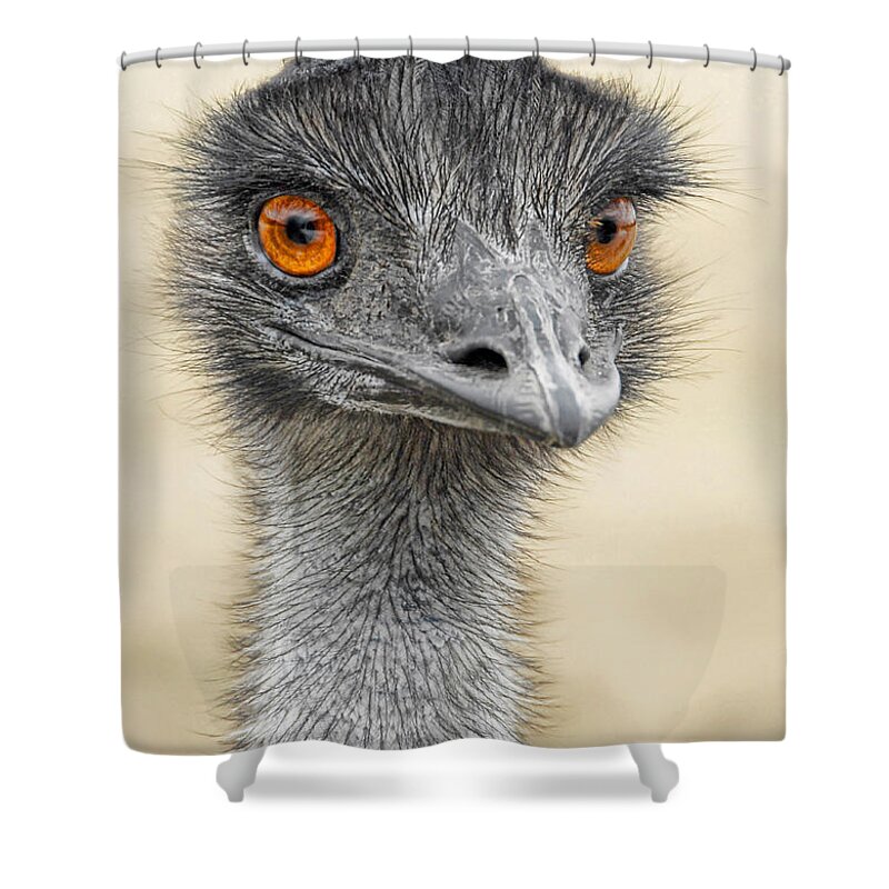 Emus Shower Curtain featuring the photograph The Boss by Dyle  Warren