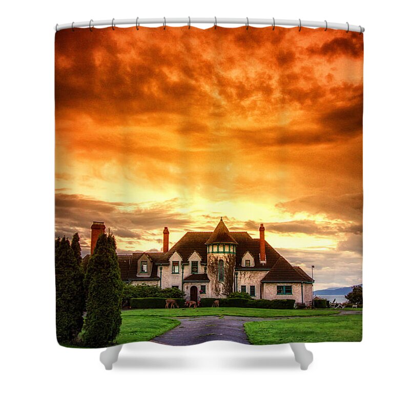 Castle Shower Curtain featuring the photograph The castle of the deer by Eti Reid