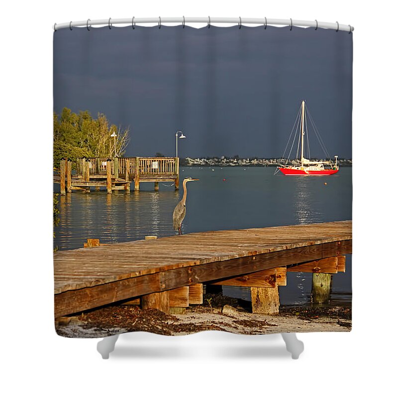 Great Blue Heron Shower Curtain featuring the photograph The Casual Observer by HH Photography of Florida