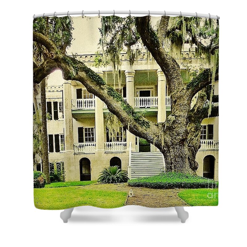 Oak Trees Shower Curtain featuring the photograph The Cat Guarding the Castle by Patricia Greer