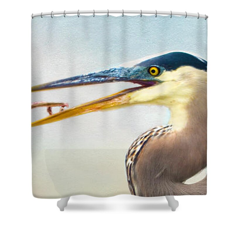 Great Blue Heron Shower Curtain featuring the photograph The Catch by Sandi OReilly