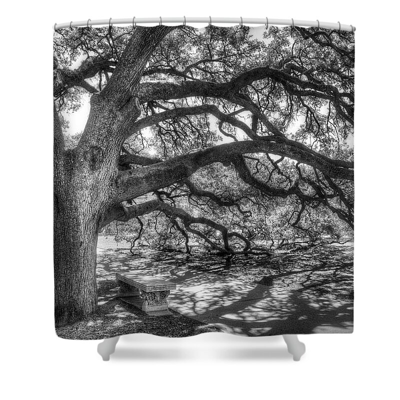 Tree Shower Curtain featuring the photograph The Century Oak by Scott Norris