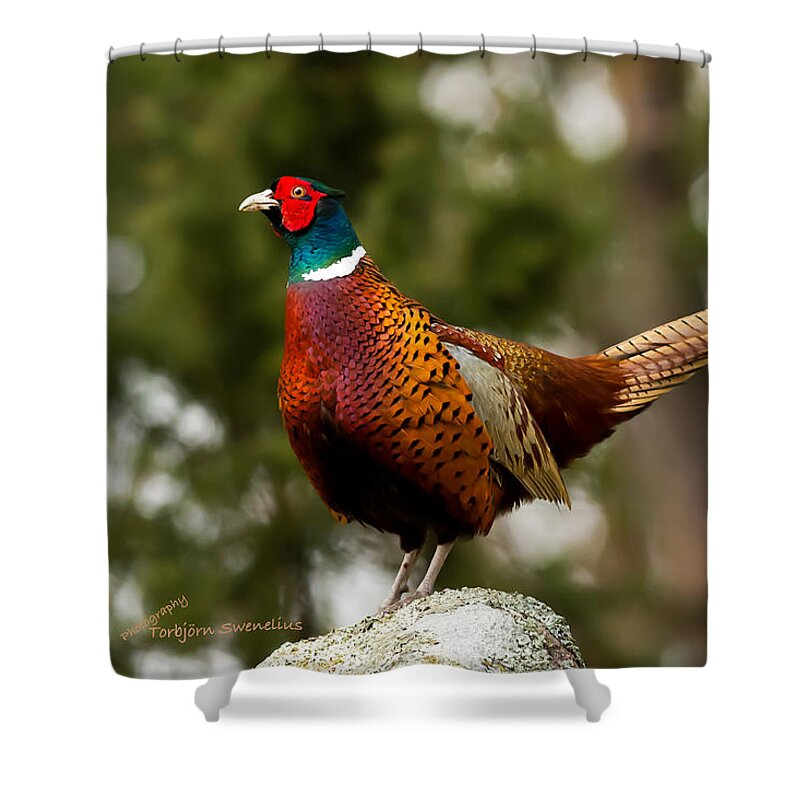 The Cock On Top Of The Rock Shower Curtain featuring the photograph The Cock on Top of the Rock by Torbjorn Swenelius