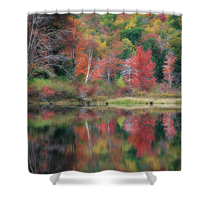 Reflection Shower Curtain featuring the photograph The Colors Of Autumn by Bill Wakeley