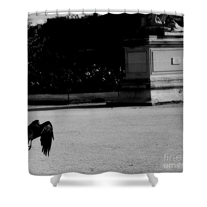 Crow Shower Curtain featuring the photograph The Crow by Donato Iannuzzi