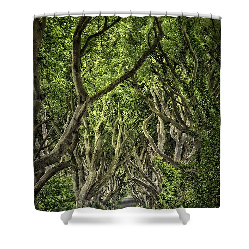 Dark Hedges Shower Curtain featuring the photograph The Dark Hedges by Evelina Kremsdorf