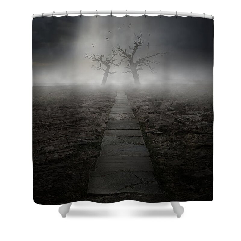 Land Shower Curtain featuring the photograph The Dark Land by Jaroslaw Blaminsky
