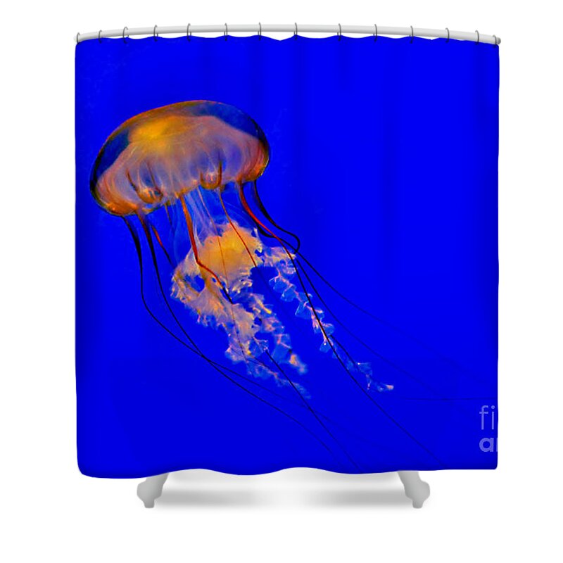 Sea Nettle Shower Curtain featuring the photograph The Deep by Kathy Baccari