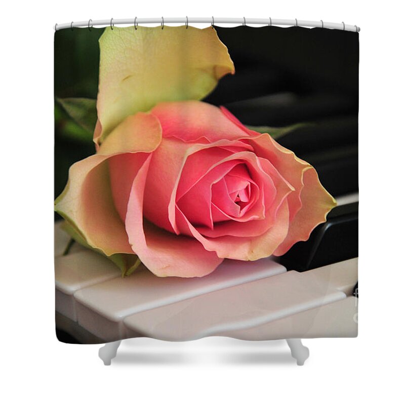 Rose Shower Curtain featuring the photograph The Delicate Rose by Randi Grace Nilsberg