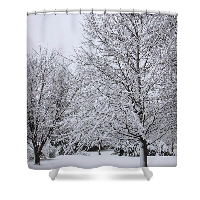 Winter Shower Curtain featuring the photograph The distance of winter by Jennifer E Doll