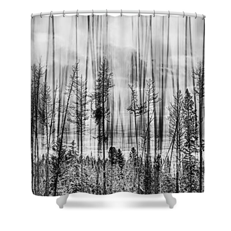 Forest Shower Curtain featuring the photograph The Edge Of The Clear-cut by Theresa Tahara