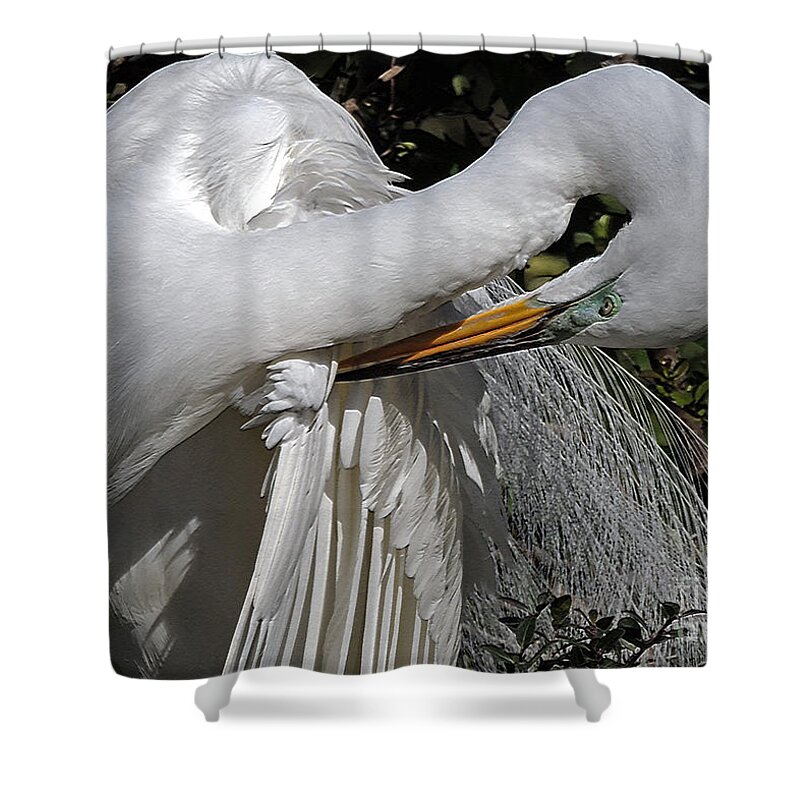 Egret Shower Curtain featuring the photograph The Elegant Egret by Lydia Holly