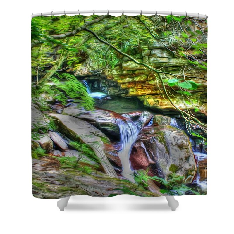 Day Shower Curtain featuring the photograph The Emerald Forest 14 by Dan Stone