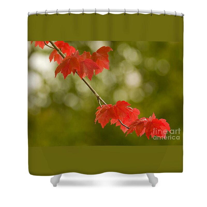 Pacific Shower Curtain featuring the photograph The Essence Of Autumn by Nick Boren