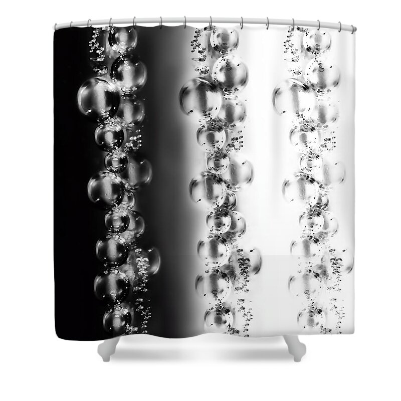 Bubbles Shower Curtain featuring the photograph The Fade by Sue Capuano