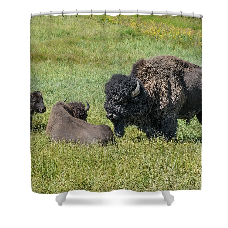 The Family Of Three Shower Curtain featuring the photograph The Family of Three by Randall Branham
