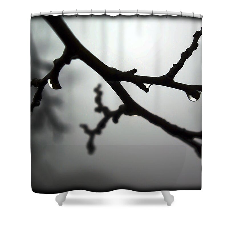 2d Shower Curtain featuring the photograph The Foggiest Idea by Brian Wallace