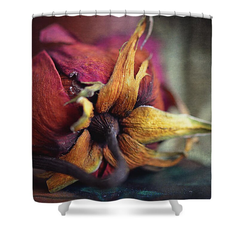 Red Rose Shower Curtain featuring the photograph The Forgotten Rose by Maria Angelica Maira