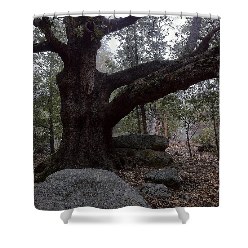 Grey Old Oak Tree Shower Curtain featuring the photograph The Friend The Old Oak Tree by Gerry High