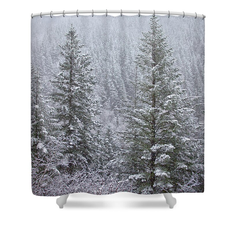  River Shower Curtain featuring the photograph The Frozen Forest by Darren White