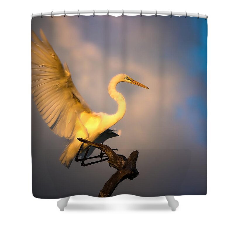 Great White Egret Shower Curtain featuring the photograph The Golden Egret by Mark Andrew Thomas