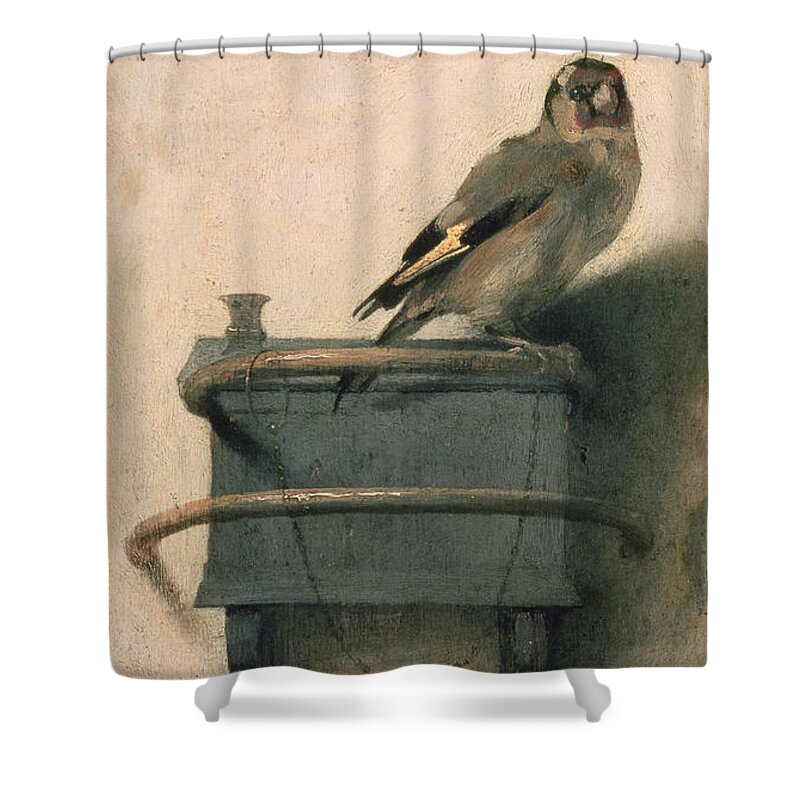 Bird Shower Curtain featuring the painting The Goldfinch by Carel Fabritius