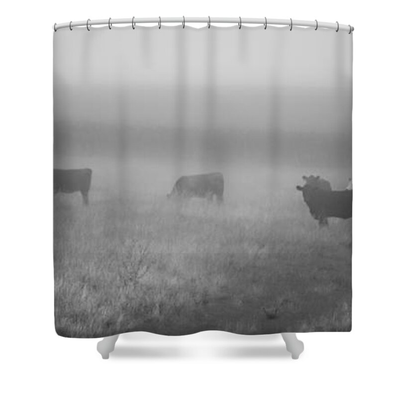 Blumwurks Shower Curtain featuring the photograph The Graze by Matthew Blum