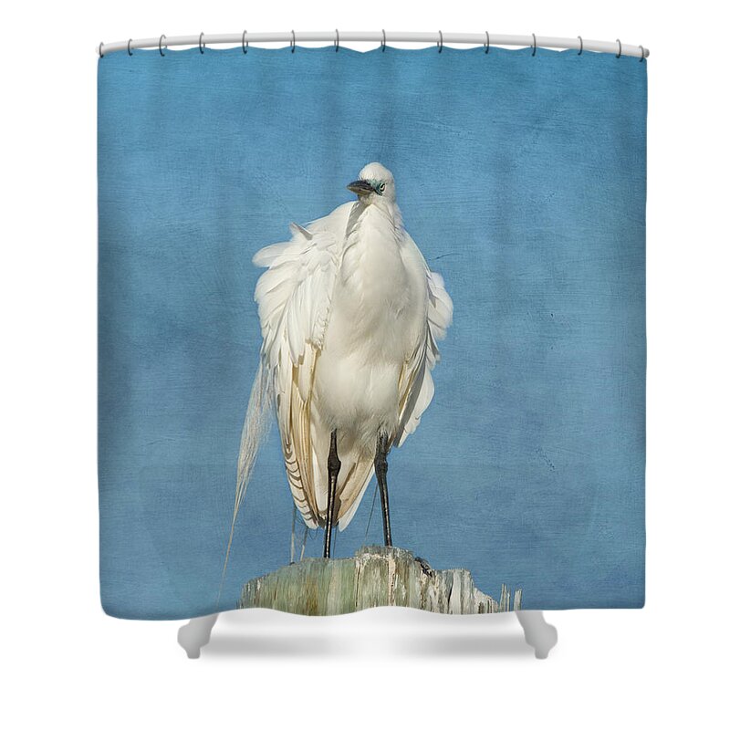 Egret Shower Curtain featuring the photograph The Great One by Kim Hojnacki